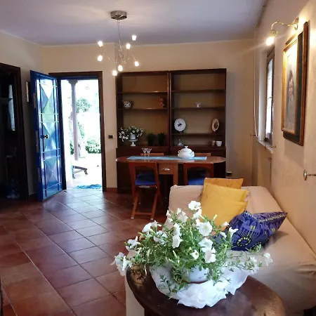 Elsa Villa *