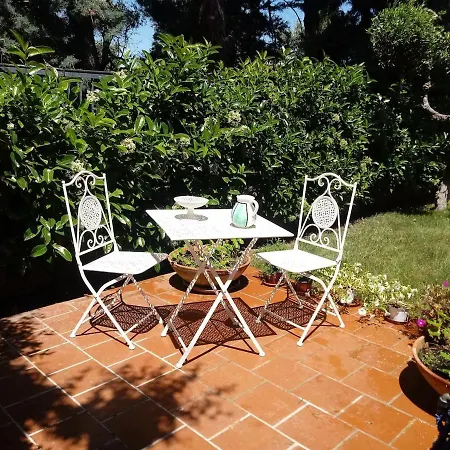 Elsa Villa